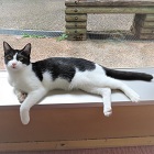 てらすのページ