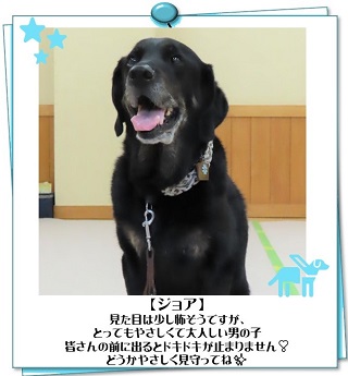 ジョアくん
