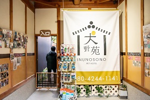 うらつめさん写真4