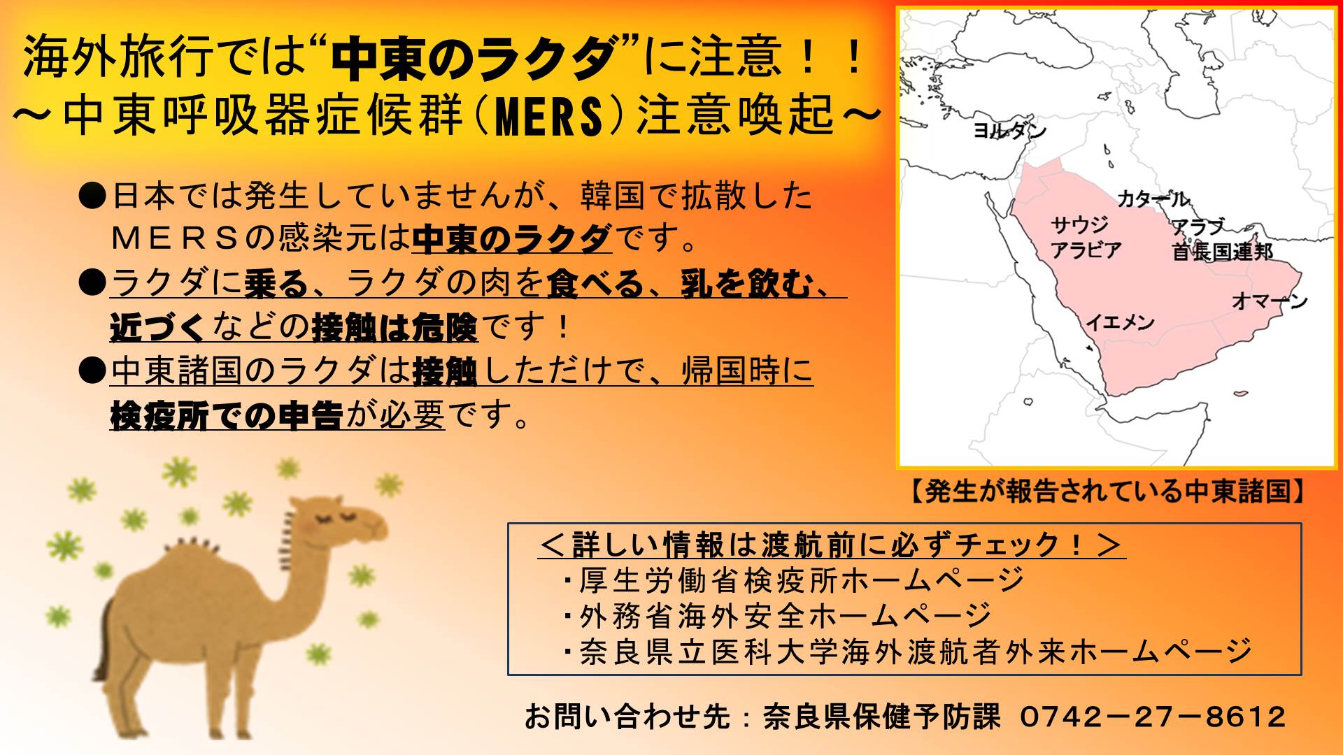 海外旅行では中東のラクダに注意