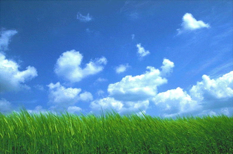 空と草原の写真