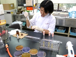 微生物検査の様子