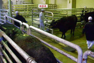 生体検査の様子