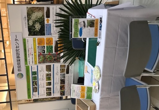 ワークショップの様子2