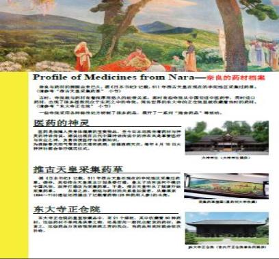 奈良のくすりのプロフィール中国語版