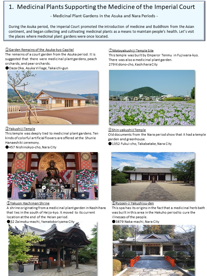 奈良のくすりめぐり英語版