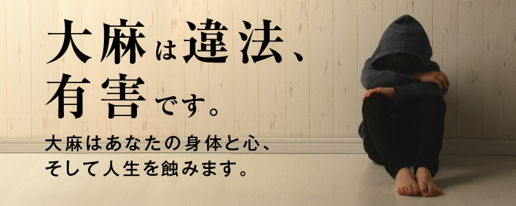 大麻は違法、有害です。