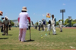 ゲートボールをしている様子