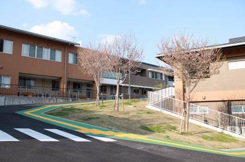 学園の桜