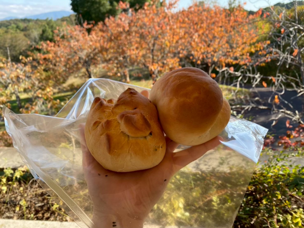もくもくのパン