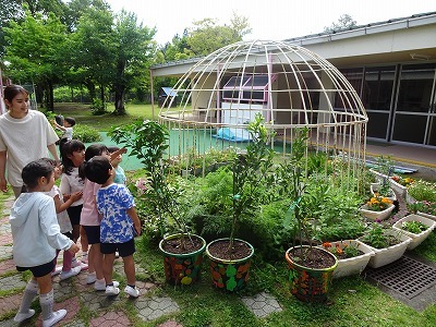 自然保育の様子2