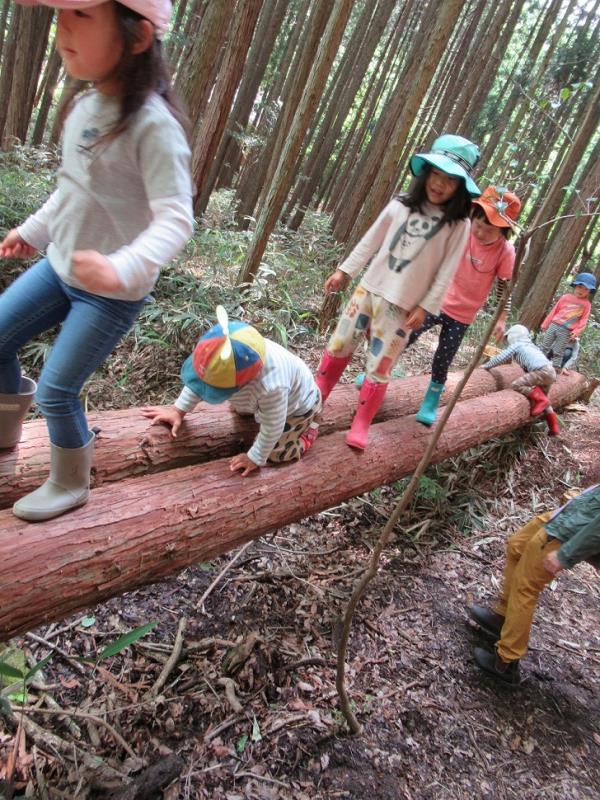 自然保育の様子5