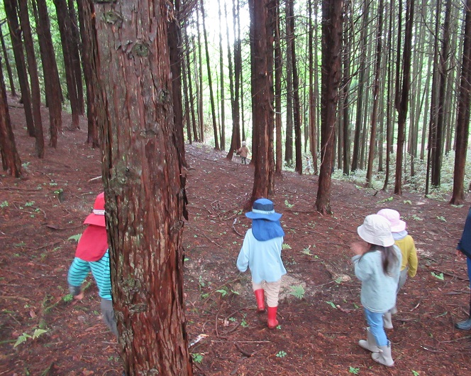 自然保育の様子3