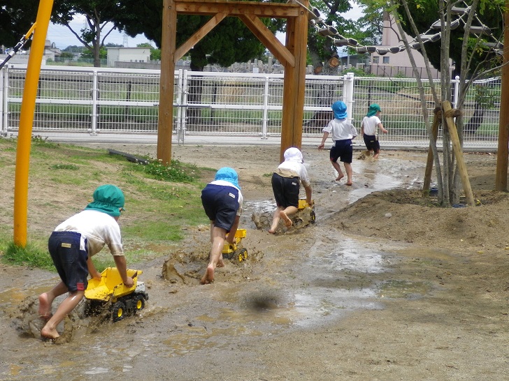 自然保育の様子4