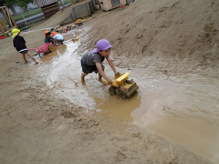 自然保育の様子3