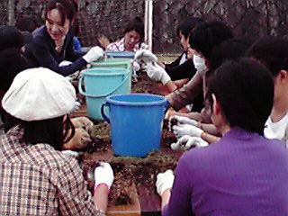 苗づくりの様子2