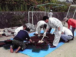 苗づくりの様子1