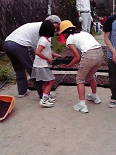 苗づくりの様子6