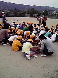 苗づくりの様子4