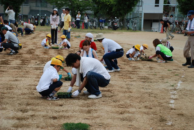 芝生苗植え付け5