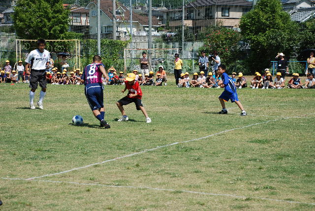 芝生開きの様子5