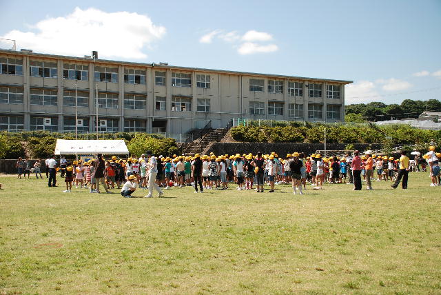芝生開きの様子2