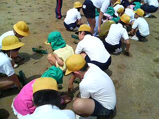 芝生苗植付け10