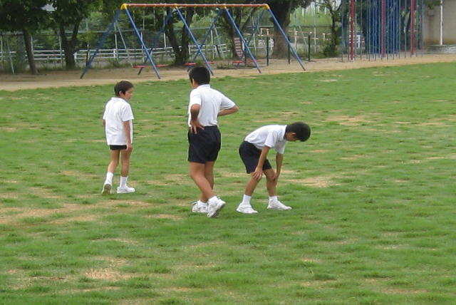 芝生苗植付け後1