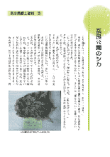 奈良県郷土資料9