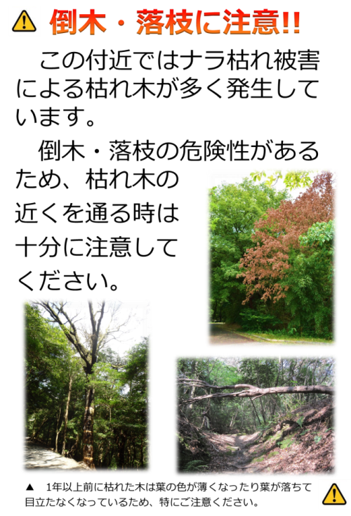 倒木注意チラシ