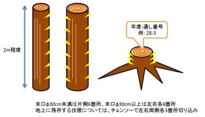 切込みイメージ図