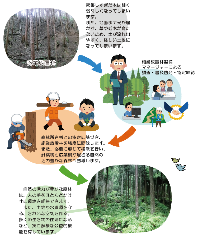 整備イメージ図