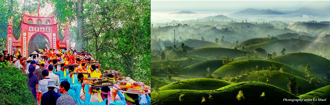 フン寺、ロングコックティーヒル