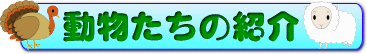 動物たちの紹介バナー