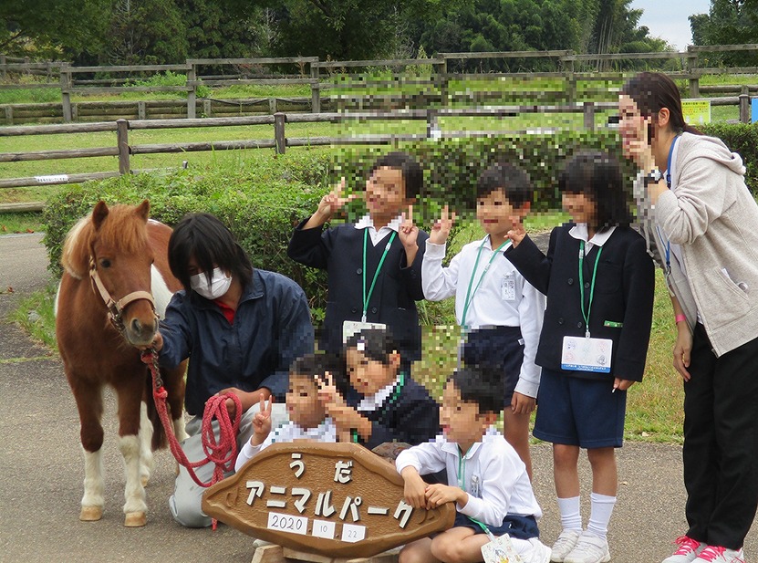 ポニーとの写真撮影