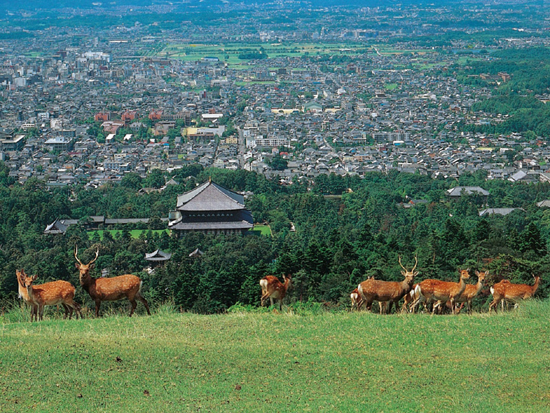 奈良公園