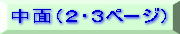 中面（2・3ページ）