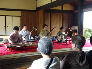 桜に箏の音をのせて