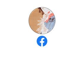 px版FB