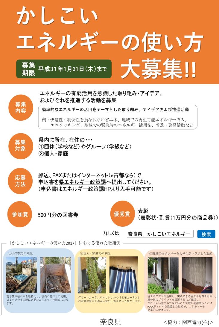 かしこいエネルギーの使い方2018ポスター