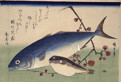 魚づくし・いなだとふぐ　