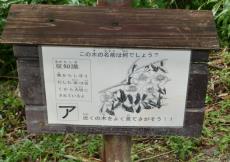 グリーンオリエンテーリングのポイント