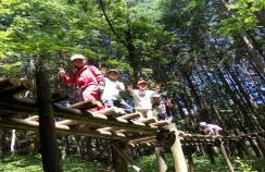 フィールドアスレチックにチャレンジする様子