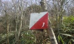 スコアオリエンテーリングのポイント