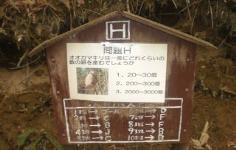 追跡オリエンテーリングのポイント