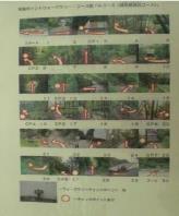 ウォークラリーのコマ図