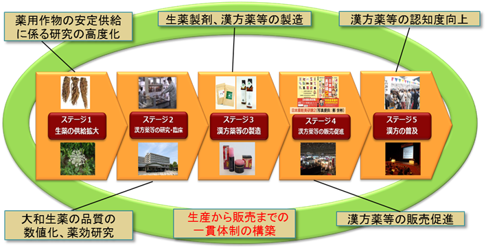 各ステージにおける取組