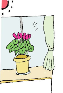 長持ちする置き場所