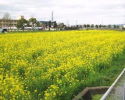 耕作放棄地対策4