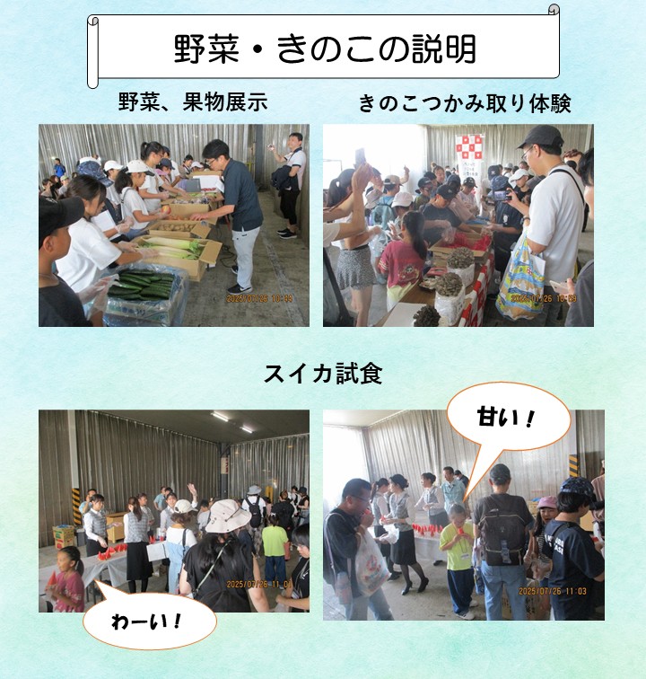 野菜・きのこの説明